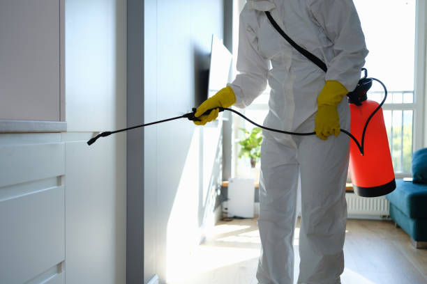 Mold Removal Process in Washburn, ND