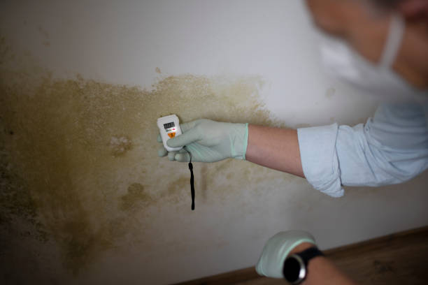 Best Mold Testing  in Washburn, ND