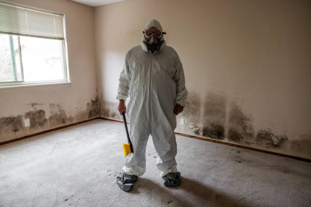 Mold Testing and Removal in Washburn, ND